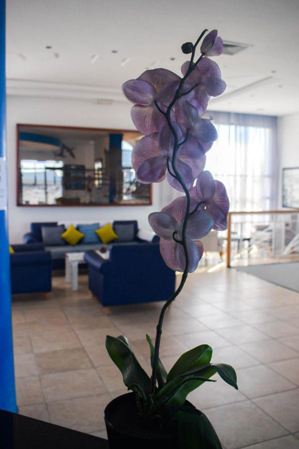 Auberge Oualidia Dream Luaran gambar