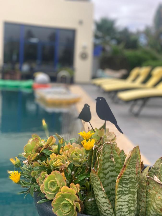 Auberge Oualidia Dream Luaran gambar