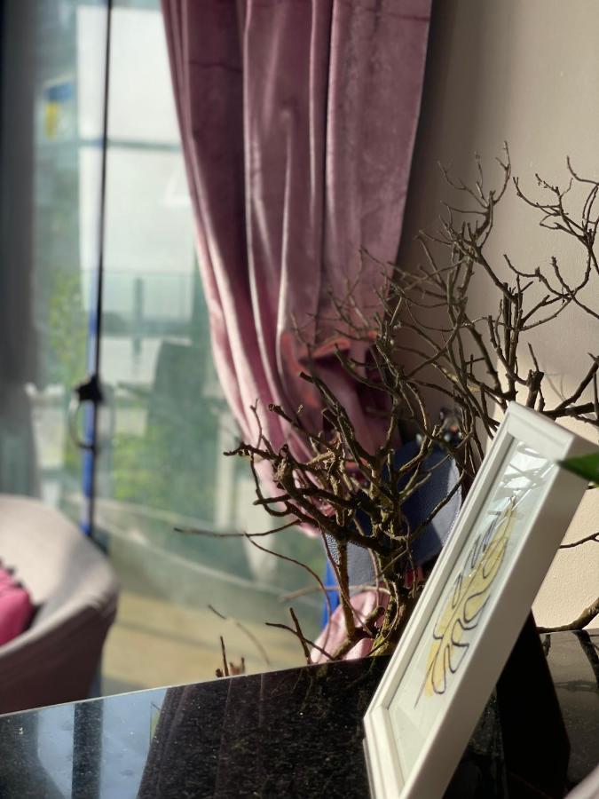 Auberge Oualidia Dream Luaran gambar